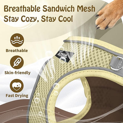 AIITLE Small Harness for Puppy with A Leash - Dog Vest Harness with Super Breathable Mesh, Reflective No-Pull Pet Harness for Outdoor Walking, Running for Small Dogs, Cats Beige XXS