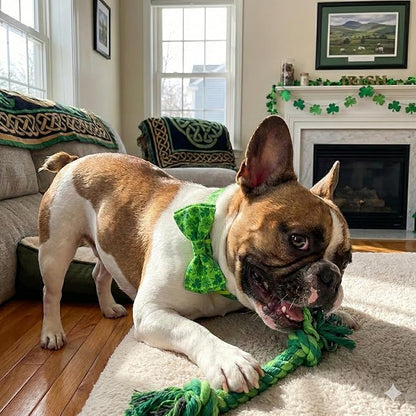 St. Patrick's Day Dog Collar with Bow Tie Set, Green Shamrock Clover Pattern Pet Collar, Adjustable Lucky Irish Holiday Neckwear for Small, Medium, and Large Dogs