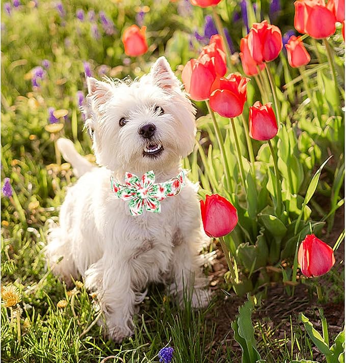 Lionheart glory Dog Collar Flowers Collar Floral Dog Collar with Flower Spring Summer Cute Collar Dog Boy or Girl Dog Collars Soft Durable Adjustable Dog Collars for Medium Dogs