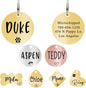Ultra Joys Dog ID Tag, Custom Dog Tag Personalized Cat Tag, Pet ID Tag, Brushed Stainless Steel Round Dog Tag Gold Medium