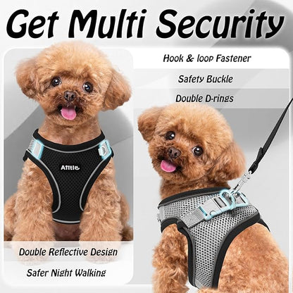 AIITLE Dog Harness, No-Pull Cat Harness with a Leash, Adjustable Reflective Dog Vest, Cat Harness Escape Proof, Outdoor Walking, Running,Training for Extra Small Dogs and House Cats Black XXXS
