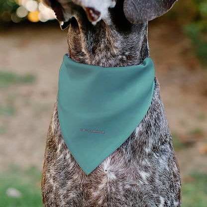 Star Wars Pet Bandana Star Wars Madalorian and Grogu Where He Goes I Go Pose Blue Slip On Collar Bandana Only