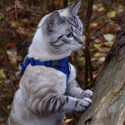 Voyager Step-in Lock Adjustable Cat Harness w. Cat Leash Combo Set with Neoprene Handle 5ft - Supports Small, Medium and Large Breed Cats by Best Pet Supplies - Royal Blue, XXXS