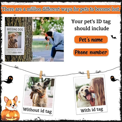 Personalized Pet Tags for Dog Cat, Custom Halloween ID Tags for Dogs, Dog Name Tags Engraved for Pets, Boo Basket Stuffers, Halloween Gifts for Dogs Lovers (Witch Hat)