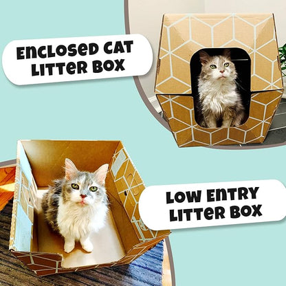 Cats Desire Disposable Litter Box No Plastic Solution (10 Tray) w/ Low Entry & Enclosed Box - Teal on Natural Brown, Made in USA Woman Owned, 19"L x 17"W x 8.5"H tray - 19"L x 17"W x 17"H enclosed box