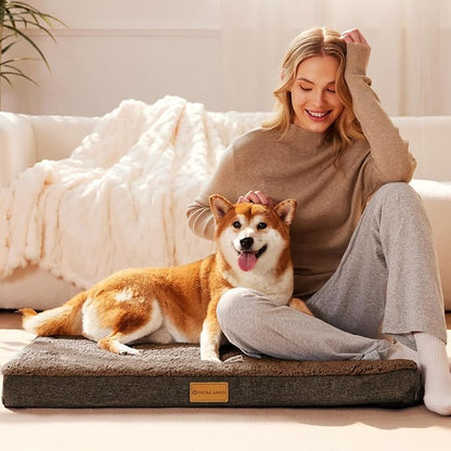 Patas Lague Orthopedic Dog Bed Large Sized Dog 36''X24'',Soft Waterproof Egg Crate Foam Medium Pet Crate Beds Mat with Removable Washable Cover and Non-Slip Bottom, Brown