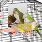 Colorday 7" Bird Mirror with Rope Perch, Bird Swing, Parrot Cage Toys for Parakeet African Grey Conure Cockatiel Lovebird Finch Canarie, Medium
