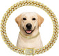 Diamond Cuban Style Dog Chain Collar Bling Gold Walking Necklace with Safety Lock Pet Jewelry for Small Medium Large Dogs Cats(Glod 10inch)