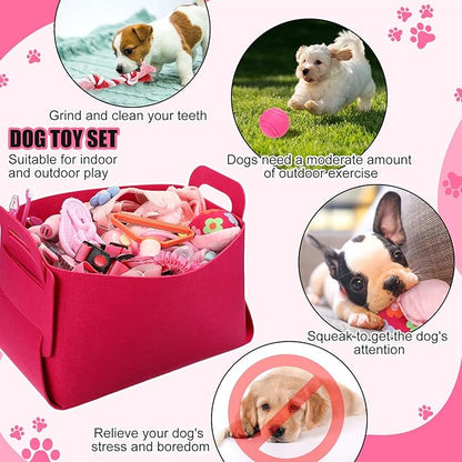 Abbylike 50 Pcs Puppy Supplies Starter Kit for Small Dogs Puppy Essentials Includes Leash, Bowls, Teeth Brushes, Water Bottle, and More Accessories for Dogs Pet Day Welcome Gift(Pink)