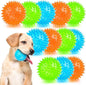 Puppy Toy 2.5” Squeaky Dog Balls Toys and Spikey Dog Ball for Aggressive Chewers for Small Dogs Dog Balls for Clean Teeth and Training （12 Pack）