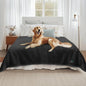 Luciphia Waterproof Pet Blanket, Liquid Pee Proof Dog Blanket for Sofa Bed Couch, Reversible Sherpa Fleece Furniture Protector Cover for Small Medium Large Dogs Cats, Black Queen Size（90" x 82"）