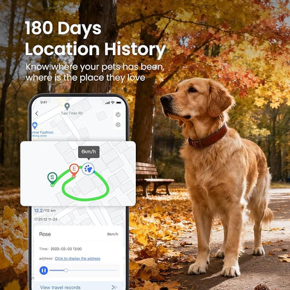 SEEWORLD Cat Tracker 4G Mini GPS Pet Tracker Device for Dogs Cats Real-Time Location, Virtual Fence, 180 Days Location History for 6.5lbs+ Pets, Subscription Required