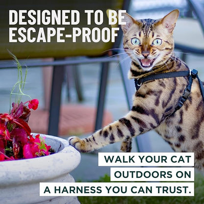 Houdini™ Escape Proof Kitten Harness and Leash Set by OutdoorBengal – Black, Small Cat Harness for Walking