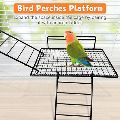 BNOSDM Extra Large Stainless Steel Grid Platform for Parakeet 4 PCS Bird Perches Platform Parrot Stand with Climbing Ladder Bird Cage Accessories for Small to Large Bird (Screw Style-XL)