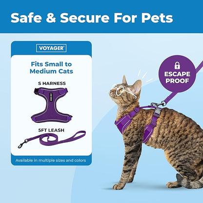 Voyager Escape-Proof Step-in Lock Cat Harness & 5ft Neoprene-Handle Leash Set All-Weather Mesh with Reflective Stitching for Small to Large Cats by Best Pet Supplies, Purple (327), M