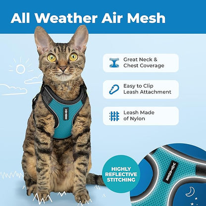 Voyager Escape-Proof Step-in Lock Cat Harness & 5ft Neoprene-Handle Leash Set All-Weather Mesh with Reflective Stitching for Small to Large Cats by Best Pet Supplies, Black Trim-Turquoise (327), XXS