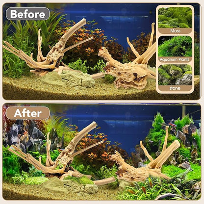 Jorewood Natural Large Spiderwood Driftwood for Aquarium Decor Rptile Fish Tank Decoration Assort Branch 11-14'' 2 Pcs