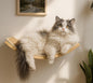 Curved Cat Wall Hammock with Scratchable Sisal Pad, Large Floating Cat Shelf for Wall, Wall Mounted Beige Bed for Playing, Climbing, and Sleeping