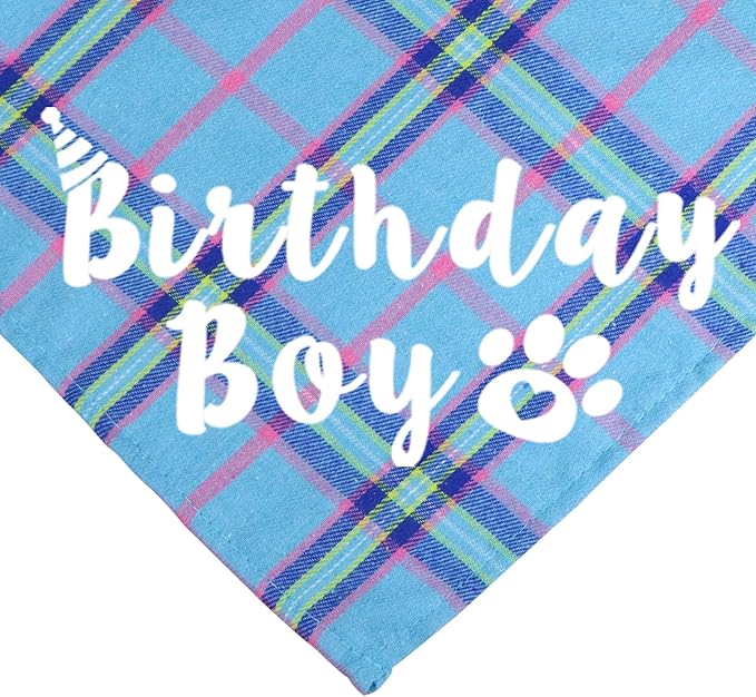 Dog Birthday Party Supplies, Multi Sizes Dog Birthday Bandana Boy Dog Birthday Hat Crown with Birthday Numbers Bow Tie for Medium Large Dogs Pets (Light Blue, Large)