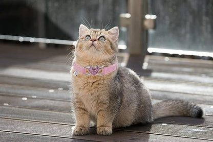 Heart Bling Cat Collar with Safety Belt and Bell Adjustable 8-10 inches for Kitten Cats (Black+Pink)