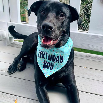 Birthday Boy Dog Bandanas 1 Pack, Blue Birthday Dog Scarfs, HBD Pet Scarves for Birthday Boy Party Bandanas for Small and Medium Dogs (Blue, Small)