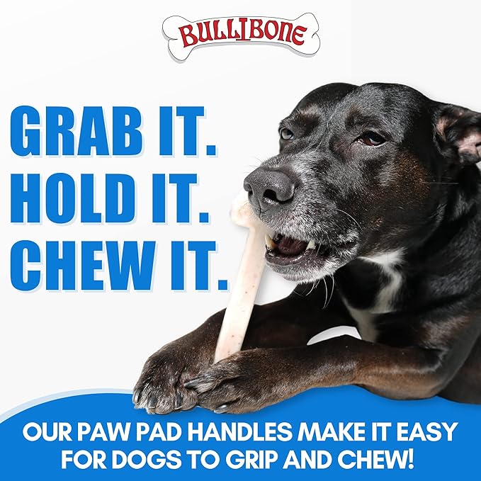 Bullibone Nylon Dog Chew Toy for Aggressive Chewers - Dental Hygiene Bone with Beef Flavor, Durable Tough Chew Toys for Small Dogs, Indestructible Dog Bone - Single