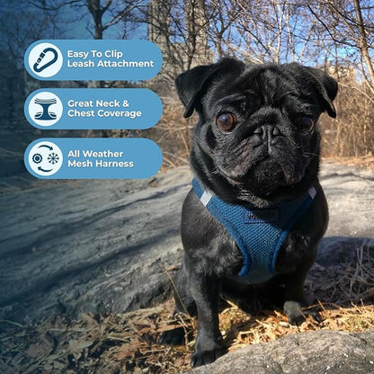 Best Pet Supplies Voyager Step-in Air All Weather Mesh Harness and Reflective Dog 5 ft Leash Combo with Neoprene Handle, for Small, Medium and Large Breed Puppies - Set (Blue), S