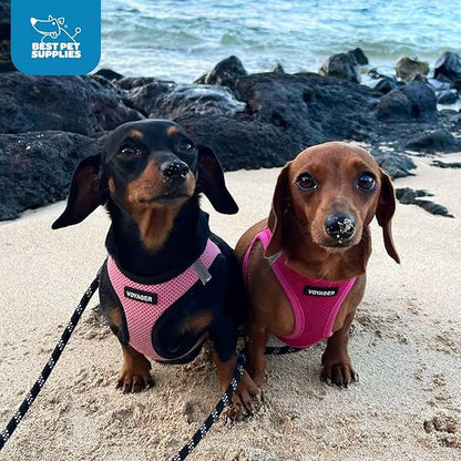 Best Pet Supplies Voyager Step-in Air Harness - All Weather Mesh, Reflective, No Pull Harness for Dogs, Cats - Secure with Hook & Loop Fastener, Buckle, Double D-Rings - Fuchsia, XS