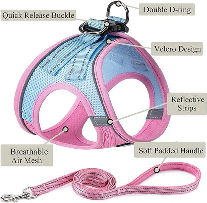 Dog Harness with Leash Set, No Pull Adjustable Reflective Step-in Puppy Pet Vest Harnesses for Small Medium Large Dogs and Cats,Pink Green S