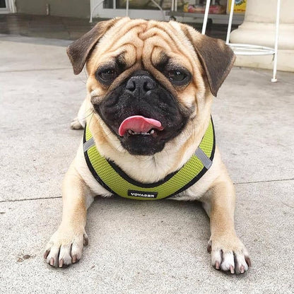 Best Pet Supplies Voyager Step-in Air All Weather Mesh Harness and Reflective Dog 5 ft Leash Combo with Neoprene Handle, for Small, Medium and Large Breed Puppies - Lime/Black Trim, X-Small