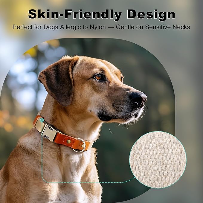 Plutus Pet Genuine Leather & Hemp Dog Collar – Adjustable Heavy Duty Pet Collar with Quick Release Metal Buckle, Soft & Stylish for Puppy and Small, Medium, Large Dogs (Beige, L)