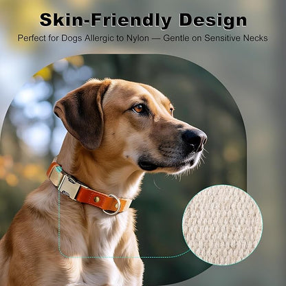 Plutus Pet Genuine Leather & Hemp Dog Collar – Adjustable Heavy Duty Pet Collar with Quick Release Metal Buckle, Soft & Stylish for Puppy and Small, Medium, Large Dogs (Beige, L)