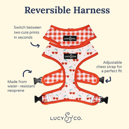 Lucy & Co. Cheery Cherries, Cute Reversible Dog Harness Walking Halter - Best Designer Pet Harnesses for XS - XL Dogs - Padded Adjustable Vest for Easy Walking (Medium)