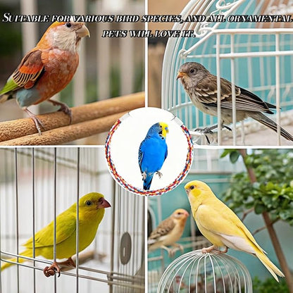 Bird Rope Perches, Parrot Toys, Bungee Rope Perches for Parrots, Cockatiels, Parakeets, Budgie Cages Comfy Birds (Metal Nut) - 48.03 inches