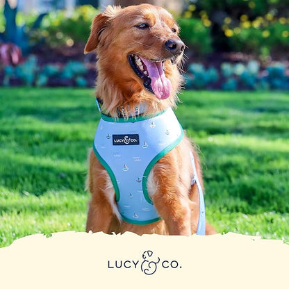 Lucy & Co. Set Sail Reversible Harness, Walking Halter - Best Designer Pet Harnesses for Medium Dogs - Padded Adjustable Vest for Easy Walking, Medium, Blue & White Stripes & Sailboats