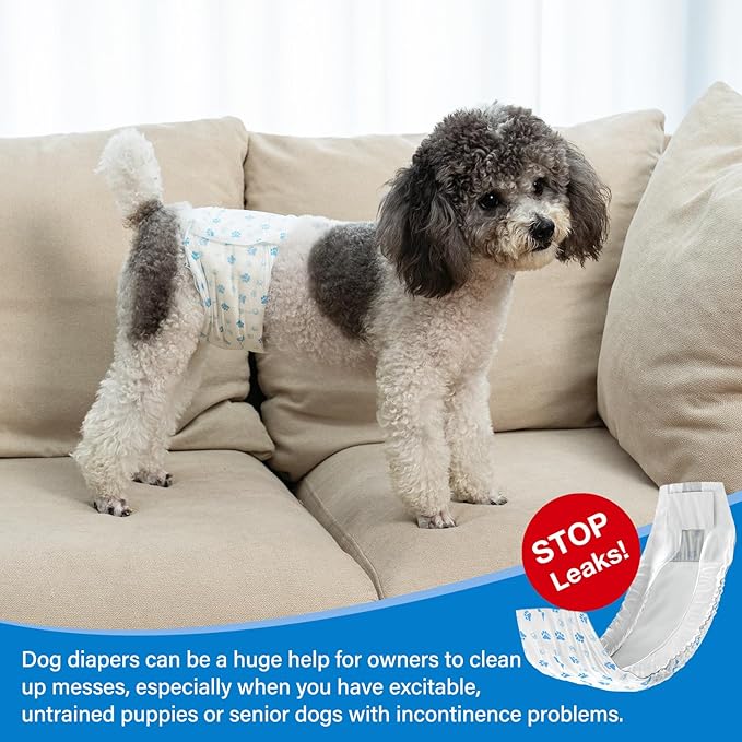 Pet Soft Disposable Male Wrap Dog Diaper,12Pcs,XS