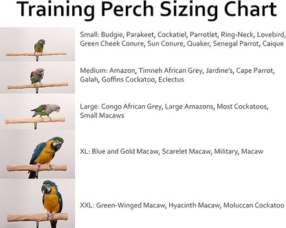 Parrot Training Perch Stand with Potty Tray (T Perch, Small)