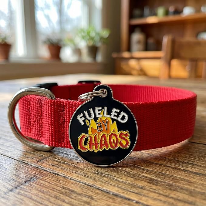 Bad Tags Personalized Dog and Cat ID Tags in 25+ Designs and 2 Sizes - 5 Lines of Custom Engraved Text - Funny Cute Personalized Pet Tags (Fueled by Chaos, Large (1.25 inch))