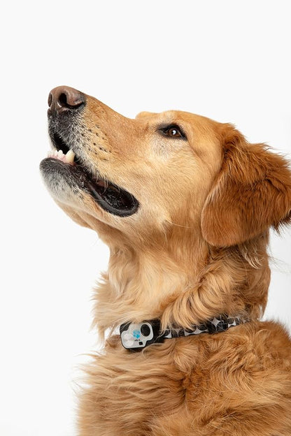 MS-5 Designer Series, Premium Performance Automatic Pet Door Collar by High Tech Pet Brand - Class A Battery Included - Stylish Design - Waterproof - Rugged - USA Support (Modern)