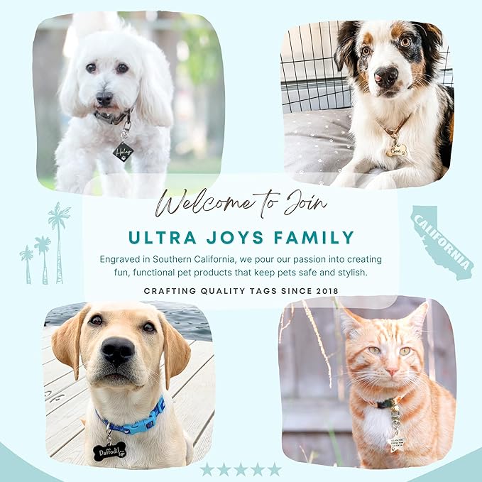 Ultra Joys Dog Tags Personalized for Pets - Hollow Paw Custom Pet ID Tag - Engraved Dog Tag for Small, Large Dogs - Small House in Gold