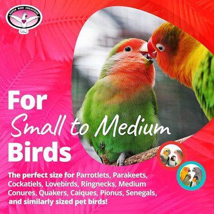 Super Bird Creations SB896 Seeing Stars Bird Toy - Interactive Foraging Toy, Ideal for Parrotlets, Parakeets, Cockatiels, Stimulates Mental and Physical Activity - Small/Medium Bird Size, 9.5" x 3.5"