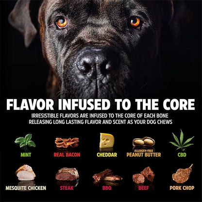 Pet Qwerks Dinosaur BarkBone - Wood Dog Bone for Moderate Chewers - Peanut Butter Flavor - 9.75"