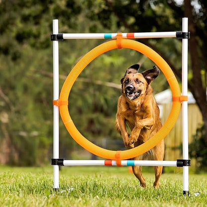 Midlee Dog Agility Hoop Jump