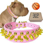 TEEMERRYCA Pink Leather Gold Spiked Studded Dog Collar for Female Puppy Small Medium Large Pets, Pit Bulls Bulldog, Keep Dog Safe from Grabbing by Huge Dogs, XXL 19.7"-22.4"