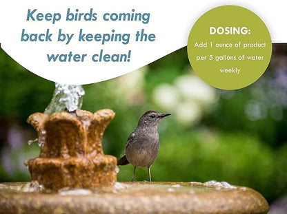 Sanco Bird Bath & Fountain Maintenance, Fast-Acting Enzyme-Based Formula Will Extend The Life of Your Water Feature, Aid in Maintaining a Balanced Ecosystem, 16 oz