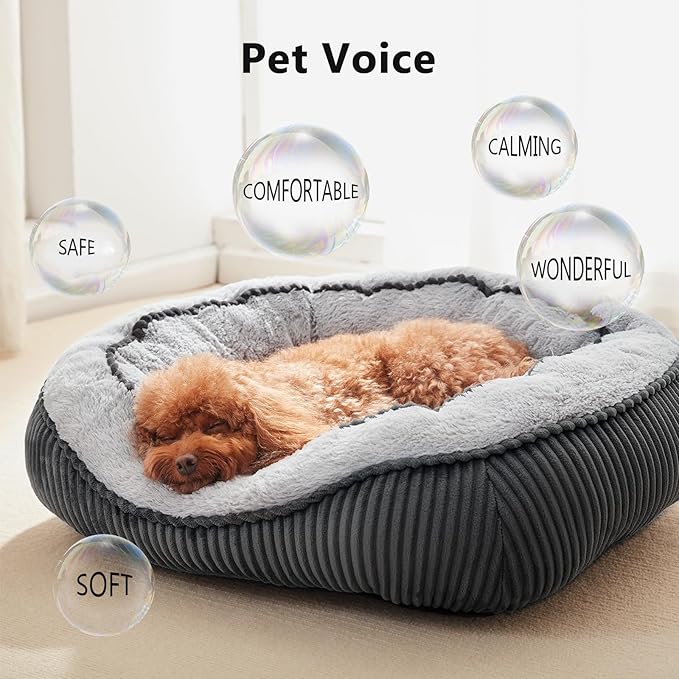 SIWA MARY Small Dog Beds for Small Dogs Washable, Rectangle Dog Bed Medium Size Dog, Orthopedic Dog Bed, Soft Calming Sleeping Puppy Bed, Durable Pet Sofa Bed with Anti-Slip Bottom, S(20"x19"x6")