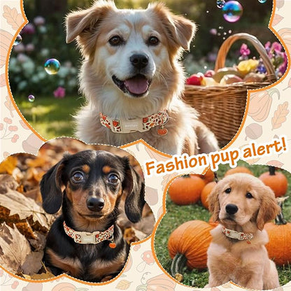 Fall Dog Collar – Halloween & Thanksgiving Dog Collars for Medium Dogs – Soft & Comfortable Autumn Puppy Collar with Quick Release Buckle, Medium Dog Collars for Girl Boy Dogs-M ﻿
