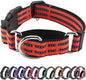 Hikiko Martingale Dog Collars Reflective Nylon Dog Collar with Quick Release Buckle Adjustable Training No Slip Dog Collar (Large, Tangerine)