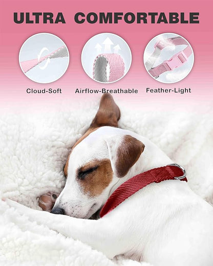 Dynmeow Soft and Breathable Cotton Dog Collar, Durable Adjustable Pet Collar with Quick-Release Buckle, Lightweight for Sensitive Skin for Puppies and Extra-Small Dogs, Red, Xs