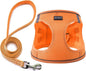 Dog Harness with Leash Set, No Pull Adjustable Reflective Step-in Puppy Pet Vest Harnesses for Small Medium Large Dogs and Cats,Orange S